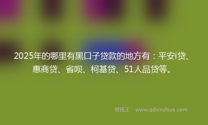 2025年的哪里有黑口子贷款的地方有：平安i贷、惠商贷、省呗、柯基贷、51人品贷等。