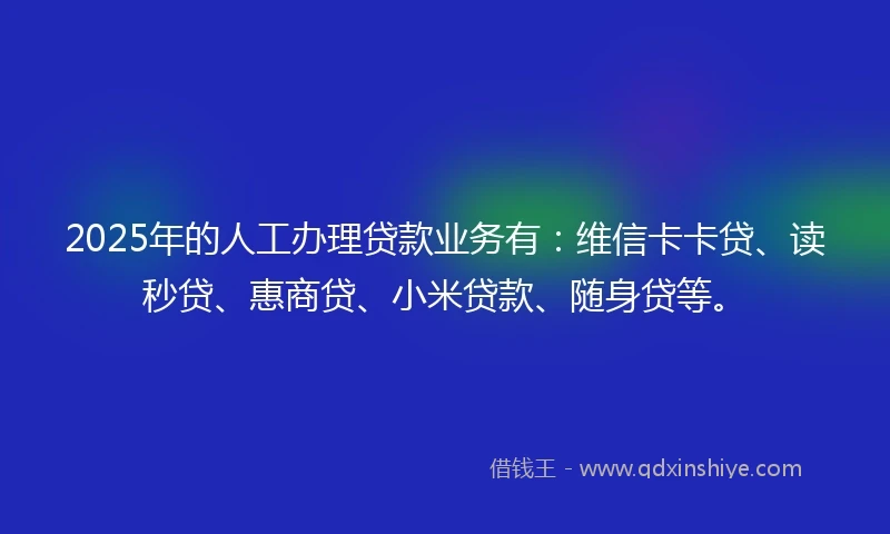 2025年的人工办理贷款业务有：维信卡卡贷、读秒贷、惠商贷、小米贷款、随身贷等。