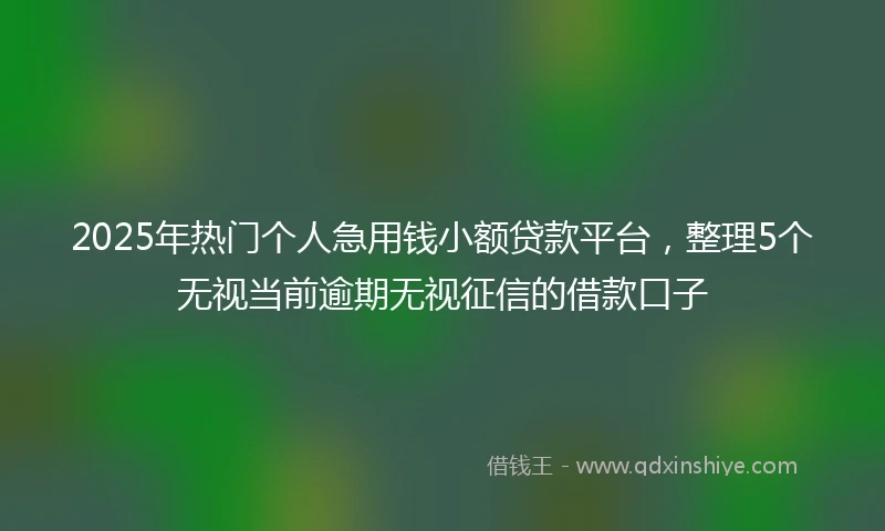 2025年热门个人急用钱小额贷款平台，整理5个无视当前逾期无视征信的借款口子