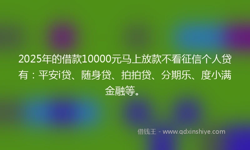 2025年的借款10000元马上放款不看征信个人贷有：平安i贷、随身贷、拍拍贷、分期乐、度小满金融等。