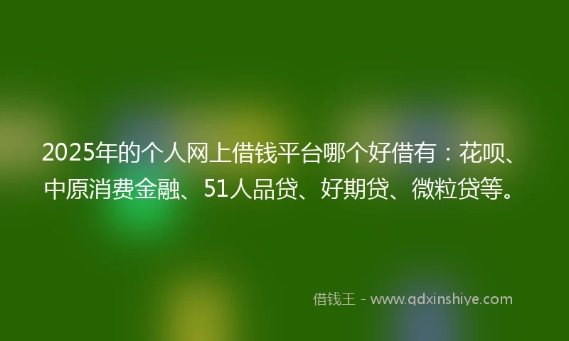 2025年的个人网上借钱平台哪个好借有：花呗、中原消费金融、51人品贷、好期贷、微粒贷等。
