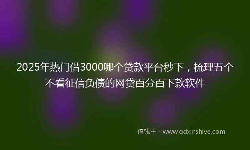 2025年热门借3000哪个贷款平台秒下，梳理五个不看征信负债的网贷百分百下款软件