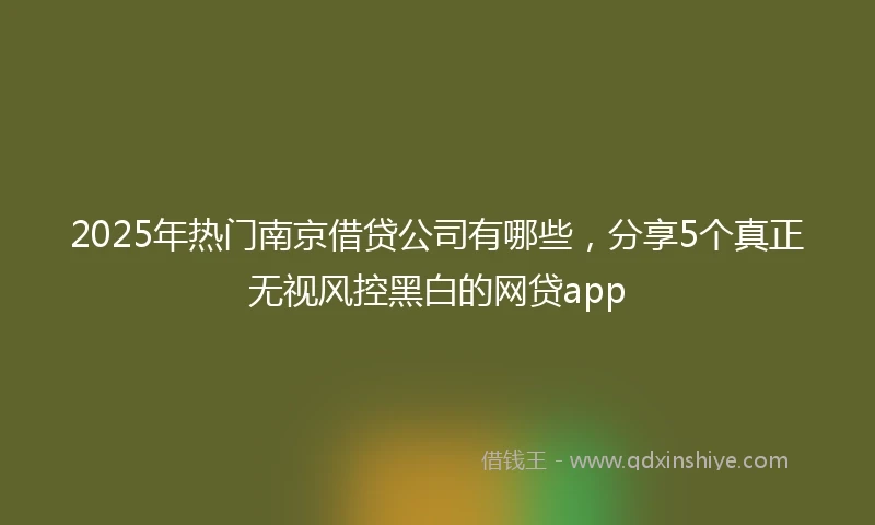 2025年热门南京借贷公司有哪些，分享5个真正无视风控黑白的网贷app