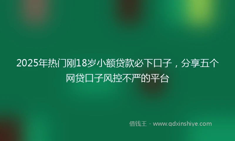 2025年热门刚18岁小额贷款必下口子，分享五个网贷口子风控不严的平台