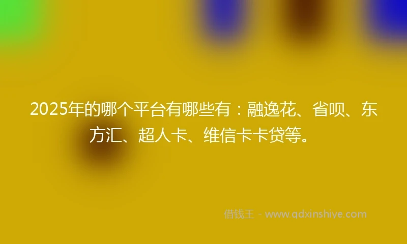2025年的哪个平台有哪些有：融逸花、省呗、东方汇、超人卡、维信卡卡贷等。