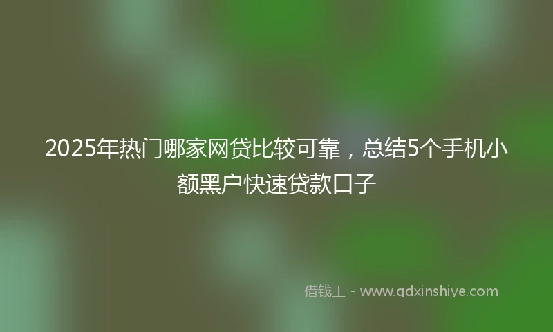 2025年热门哪家网贷比较可靠，总结5个手机小额黑户快速贷款口子