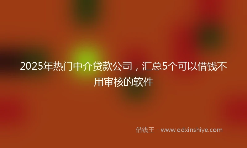 2025年热门中介贷款公司，汇总5个可以借钱不用审核的软件