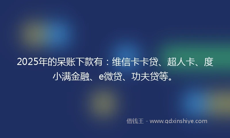 2025年的呆账下款有：维信卡卡贷、超人卡、度小满金融、e微贷、功夫贷等。