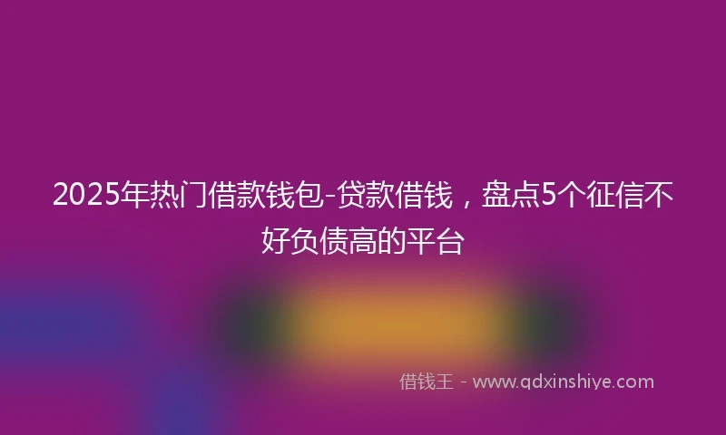 2025年热门借款钱包-贷款借钱，盘点5个征信不好负债高的平台