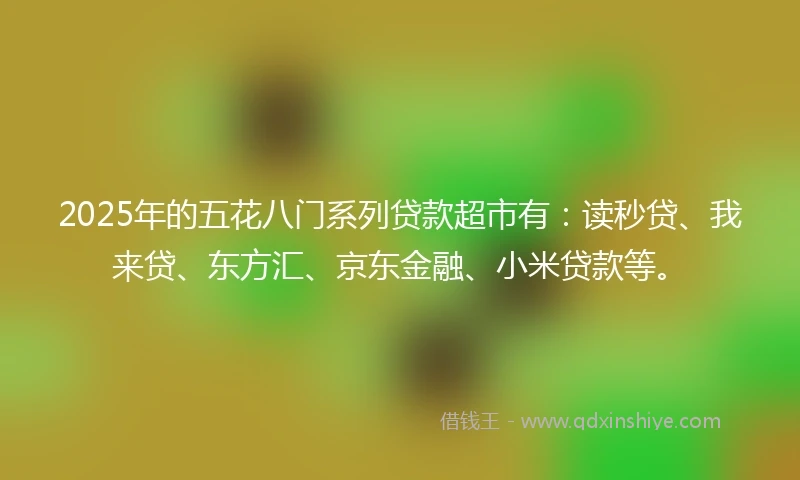 2025年的五花八门系列贷款超市有：读秒贷、我来贷、东方汇、京东金融、小米贷款等。