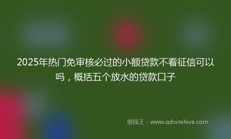2025年热门免审核必过的小额贷款不看征信可以吗，概括五个放水的贷款口子