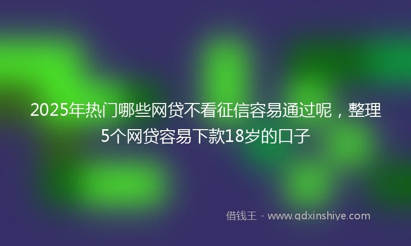 2025年热门哪些网贷不看征信容易通过呢，整理5个网贷容易下款18岁的口子