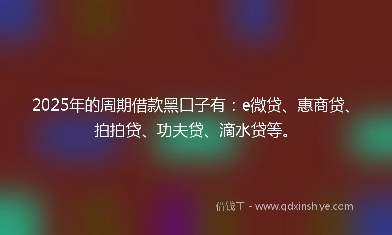 2025年的周期借款黑口子有：e微贷、惠商贷、拍拍贷、功夫贷、滴水贷等。