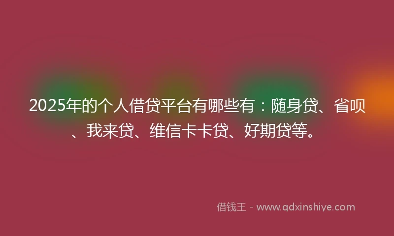 2025年的个人借贷平台有哪些有：随身贷、省呗、我来贷、维信卡卡贷、好期贷等。