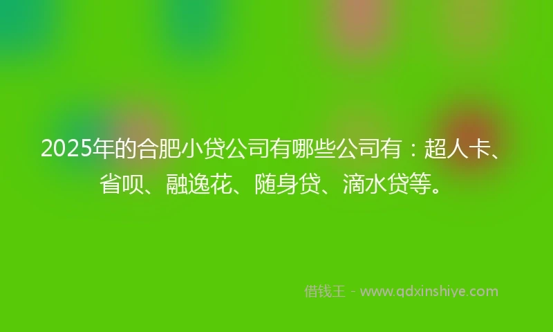 2025年的合肥小贷公司有哪些公司有：超人卡、省呗、融逸花、随身贷、滴水贷等。