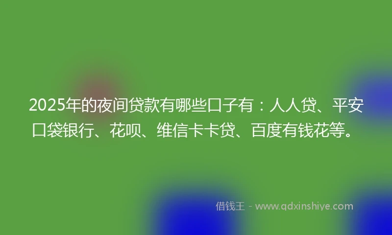2025年的夜间贷款有哪些口子有：人人贷、平安口袋银行、花呗、维信卡卡贷、百度有钱花等。