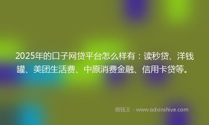2025年的口子网贷平台怎么样有：读秒贷、洋钱罐、美团生活费、中原消费金融、信用卡贷等。