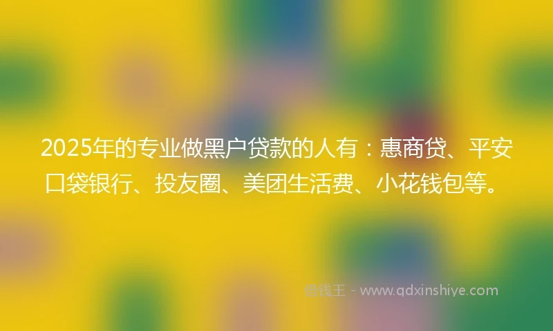 2025年的专业做黑户贷款的人有：惠商贷、平安口袋银行、投友圈、美团生活费、小花钱包等。
