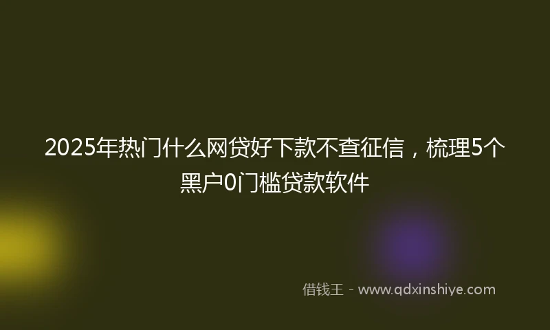 2025年热门什么网贷好下款不查征信，梳理5个黑户0门槛贷款软件