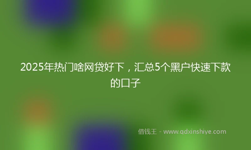 2025年热门啥网贷好下，汇总5个黑户快速下款的口子