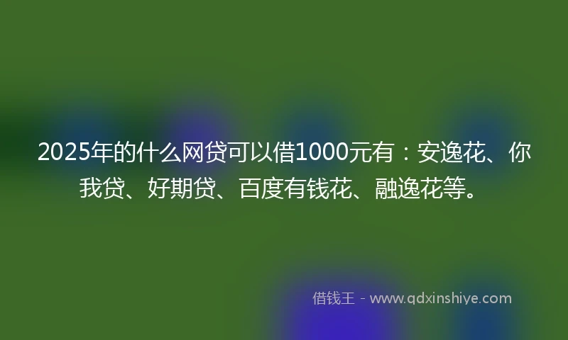 2025年的什么网贷可以借1000元有：安逸花、你我贷、好期贷、百度有钱花、融逸花等。