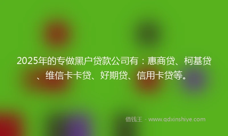 2025年的专做黑户贷款公司有：惠商贷、柯基贷、维信卡卡贷、好期贷、信用卡贷等。