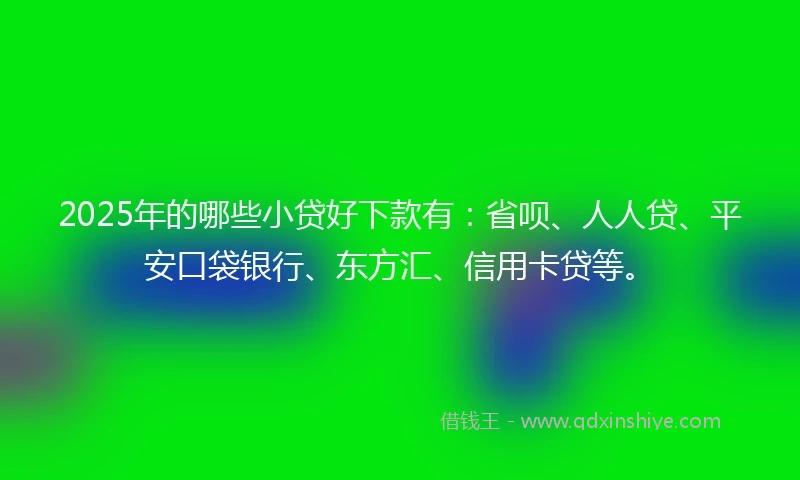 2025年的哪些小贷好下款有：省呗、人人贷、平安口袋银行、东方汇、信用卡贷等。