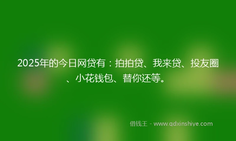 2025年的今日网贷有:拍拍贷、我来贷、投友圈、小花钱包、替你还等。