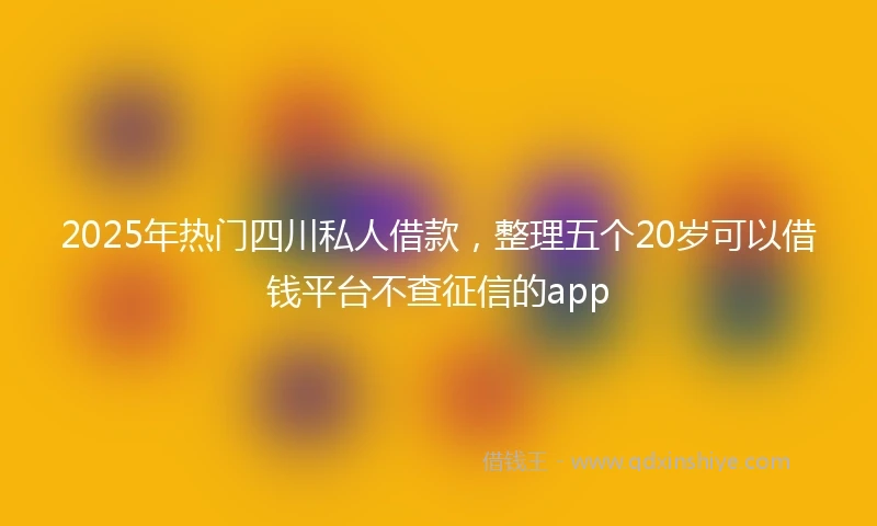 2025年热门四川私人借款，整理五个20岁可以借钱平台不查征信的app