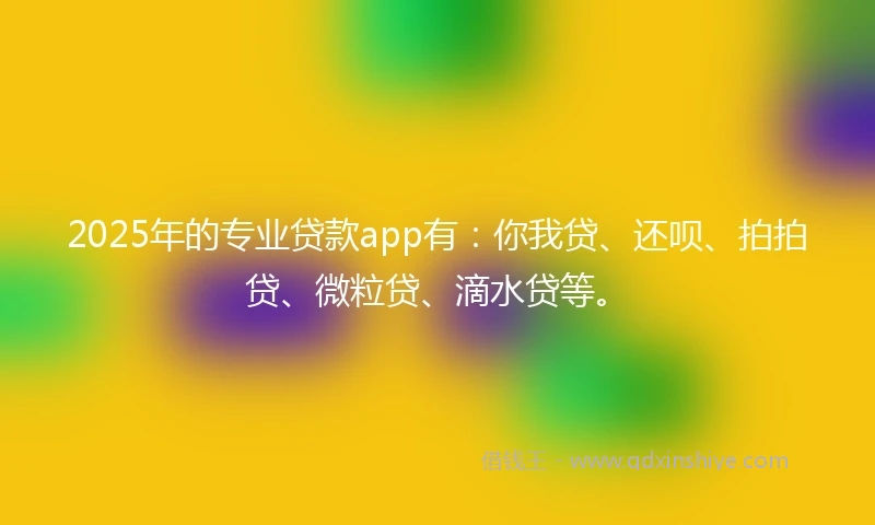 2025年的专业贷款app有：你我贷、还呗、拍拍贷、微粒贷、滴水贷等。