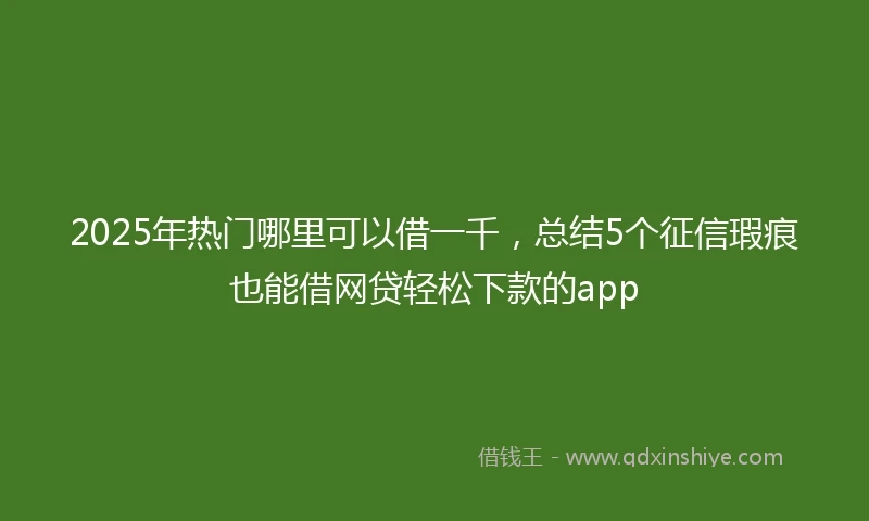 2025年热门哪里可以借一千,总结5个征信瑕疵也能借网贷轻松下款的app
