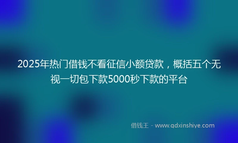 2025年热门借钱不看征信小额贷款，概括五个无视一切包下款5000秒下款的平台