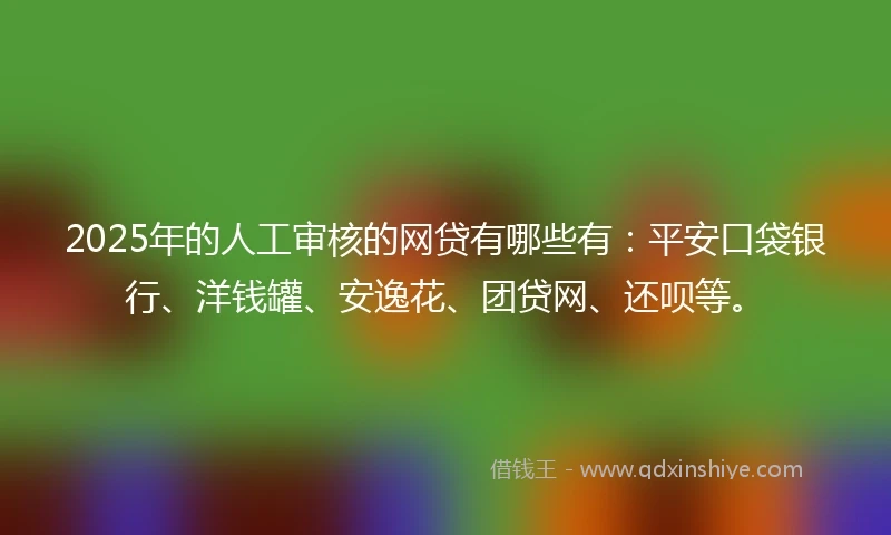 2025年的人工审核的网贷有哪些有:平安口袋银行、洋钱罐、安逸花、团贷网、还呗等。