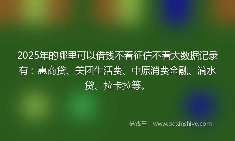 2025年的哪里可以借钱不看征信不看大数据记录有：惠商贷、美团生活费、中原消费金融、滴水贷、拉卡拉等。