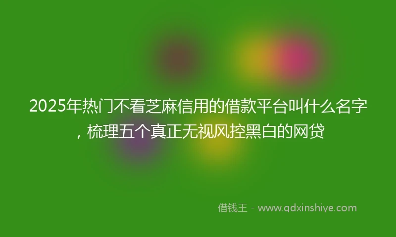 2025年热门不看芝麻信用的借款平台叫什么名字,梳理五个真正无视风控黑白的网贷