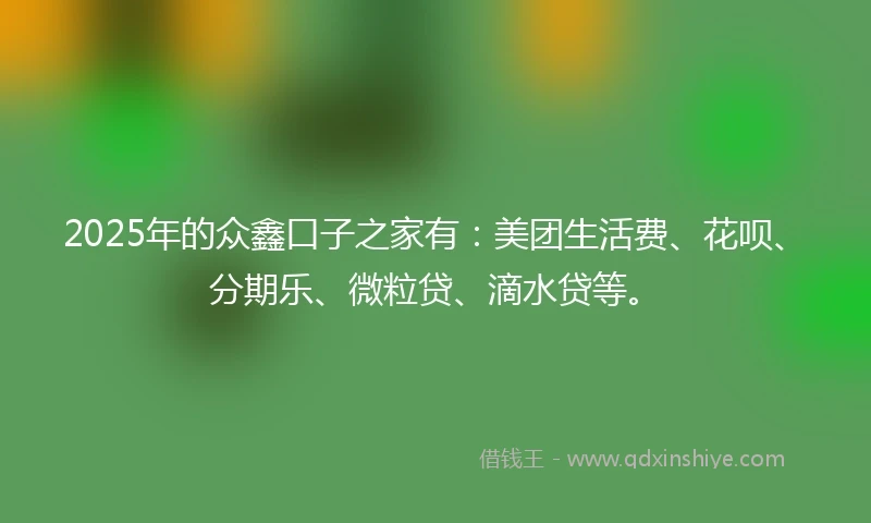 2025年的众鑫口子之家有：美团生活费、花呗、分期乐、微粒贷、滴水贷等。