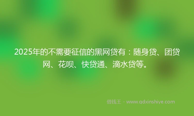 2025年的不需要征信的黑网贷有:随身贷、团贷网、花呗、快贷通、滴水贷等。