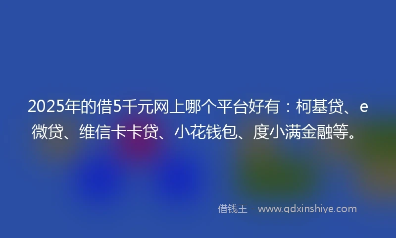 2025年的借5千元网上哪个平台好有：柯基贷、e微贷、维信卡卡贷、小花钱包、度小满金融等。