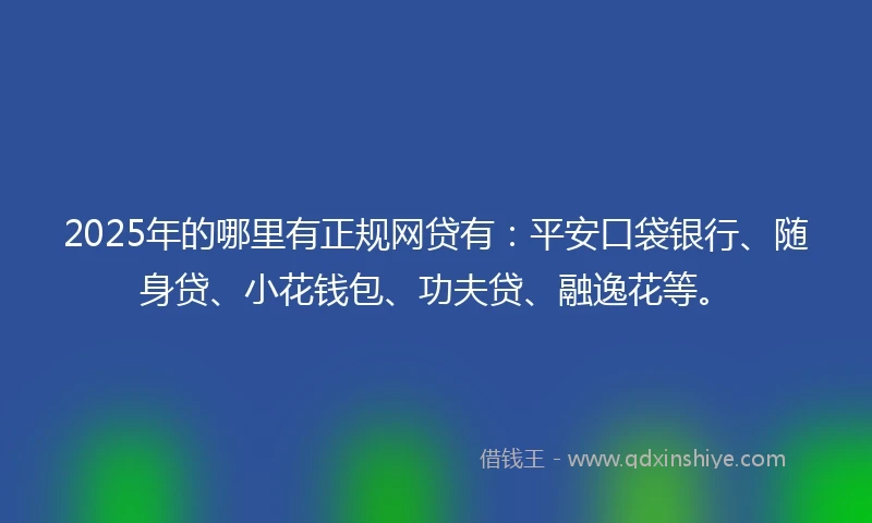 2025年的哪里有正规网贷有：平安口袋银行、随身贷、小花钱包、功夫贷、融逸花等。