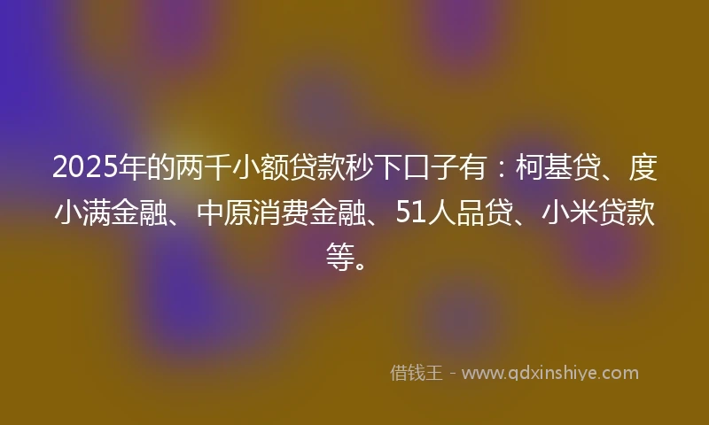 2025年的两千小额贷款秒下口子有：柯基贷、度小满金融、中原消费金融、51人品贷、小米贷款等。