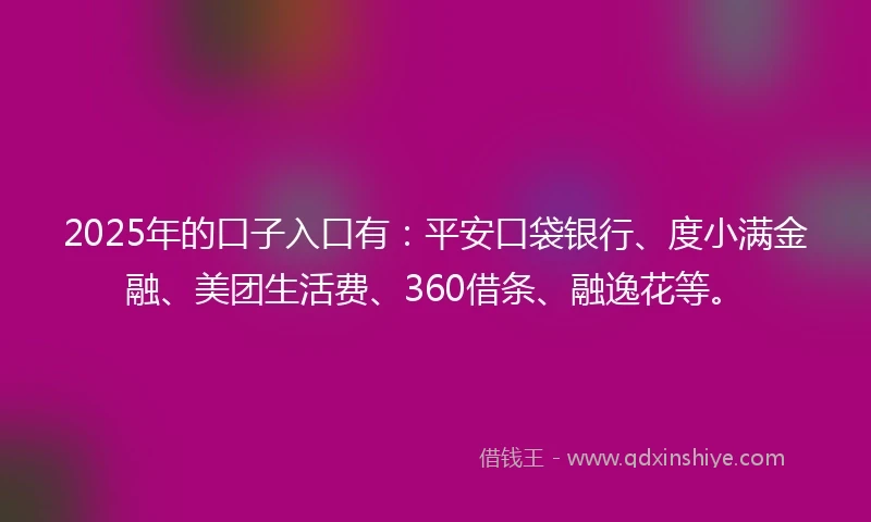 2025年的口子入口有：平安口袋银行、度小满金融、美团生活费、360借条、融逸花等。