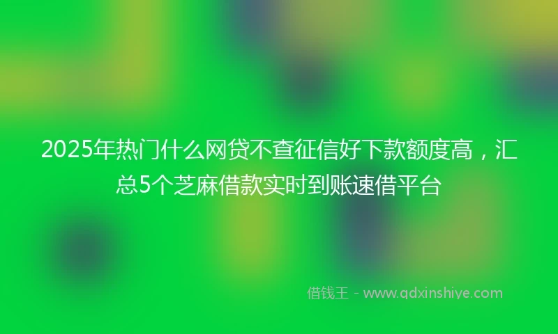 2025年热门什么网贷不查征信好下款额度高，汇总5个芝麻借款实时到账速借平台