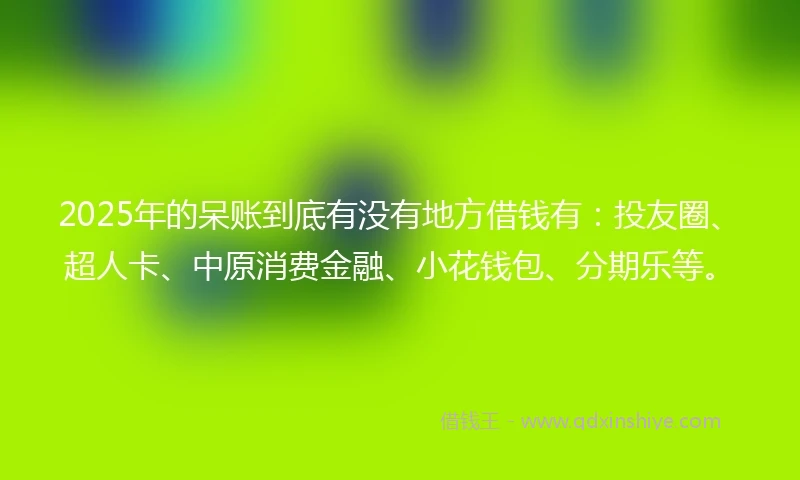 2025年的呆账到底有没有地方借钱有：投友圈、超人卡、中原消费金融、小花钱包、分期乐等。