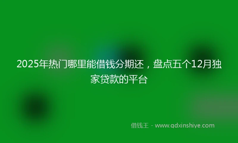 2025年热门哪里能借钱分期还，盘点五个12月独家贷款的平台