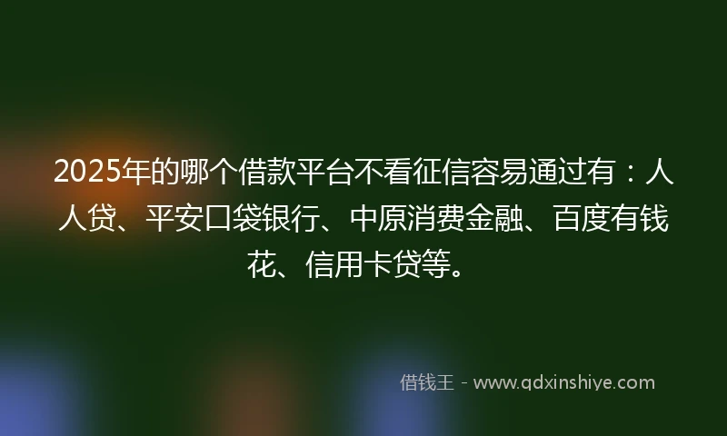 2025年的哪个借款平台不看征信容易通过有：人人贷、平安口袋银行、中原消费金融、百度有钱花、信用卡贷等。