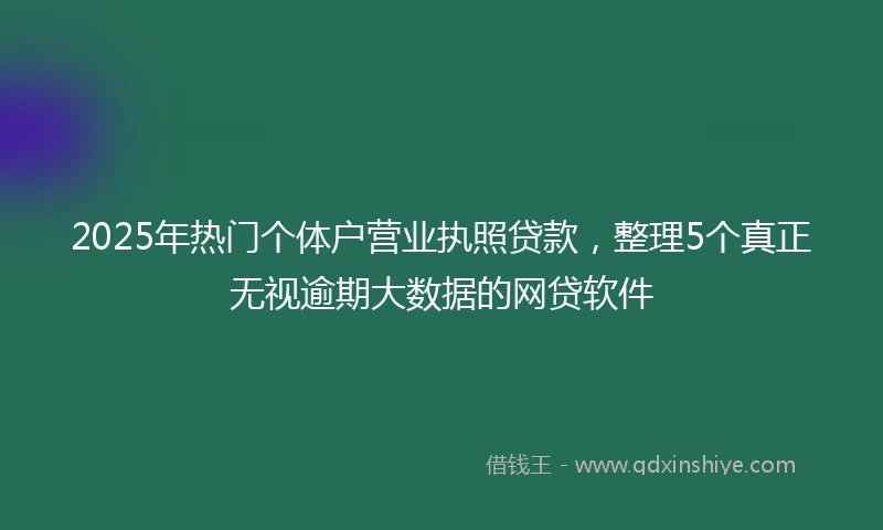 2025年热门个体户营业执照贷款，整理5个真正无视逾期大数据的网贷软件