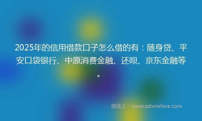 2025年的信用借款口子怎么借的有：随身贷、平安口袋银行、中原消费金融、还呗、京东金融等。