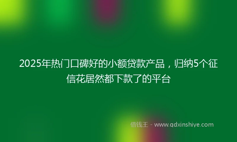 2025年热门口碑好的小额贷款产品，归纳5个征信花居然都下款了的平台