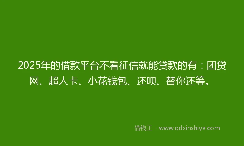 2025年的借款平台不看征信就能贷款的有：团贷网、超人卡、小花钱包、还呗、替你还等。