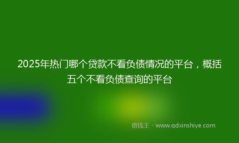 2025年热门哪个贷款不看负债情况的平台，概括五个不看负债查询的平台